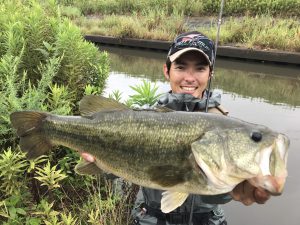 道楽、トップ、バス釣り 道楽、トップ、バス釣り