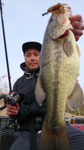♯Eui15LJ ガーリー スウィーツ チャーム トロピカル 人気10種 ♯Eui15LJ ガーリー スウィーツ チャーム トロピカル 人気10種