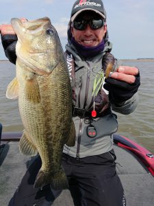 20180418kusabuka_beebleA-