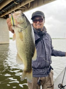 Umeda – Bottomup(ボトムアップ)公式サイト