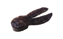 BU Daddy Jr.【オンラインストア限定】 – Bottomup(ボトムアップ)公式